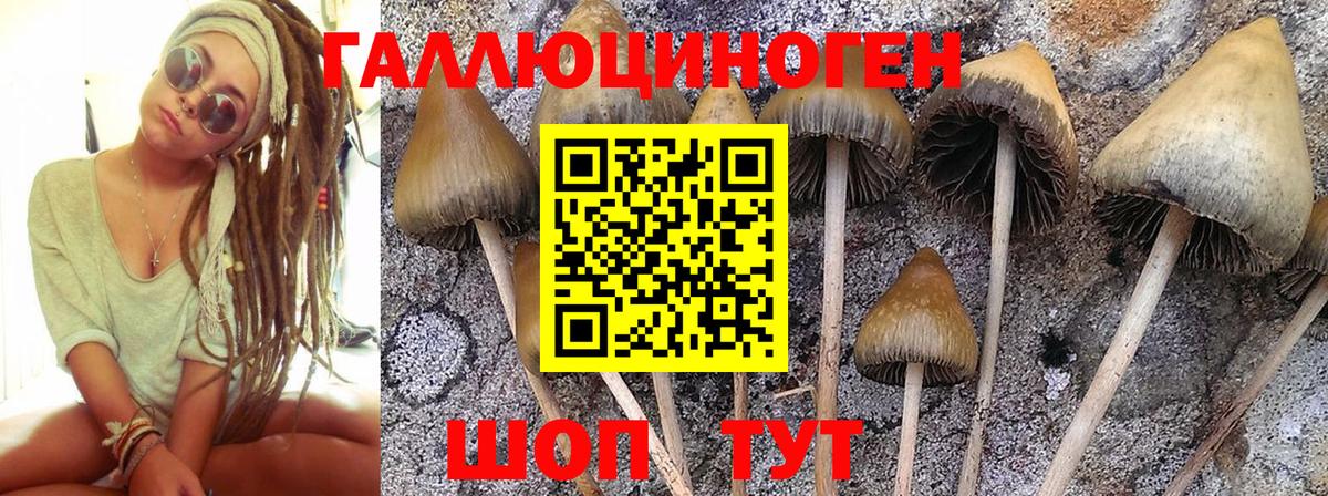 Галлюциногенные грибы MAGIC MUSHROOMS Шебекино